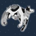 Server Icon
