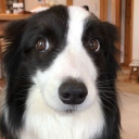 looking for a caregiver! Discord server icon