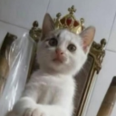 JOIN 4  OWNER Discord server icon