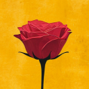 AFTER 8 Discord server icon