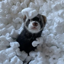 bmf… Discord server icon