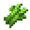 SUGARCANE TOWN : EARN | CHILL | HANGOUT