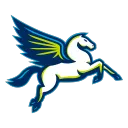 Dallas Wings