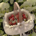 𝐅𝐞𝐫𝐧𝐰𝐨𝐨𝐝 𝐂𝐨𝐭𝐭𝐚𝐠𝐞 • 𝐂𝐨𝐦𝐦𝐮𝐧𝐢𝐭𝐲 • 𝐖𝐡𝐢𝐦𝐬𝐢𝐜𝐚𝐥 • 𝐂𝐨𝐭𝐭𝐚𝐠𝐞𝐜𝐨𝐫𝐞 • 𝐒𝐨𝐜𝐢𝐚𝐥 • 𝐄𝐦𝐨𝐣𝐢𝐬 • 𝐄𝐦𝐨𝐭𝐞𝐬 • 𝐒𝐭𝐢𝐜𝐤𝐞𝐫𝐬 • 𝐒𝐅𝐖 Discord server icon