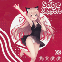 Sage Support