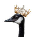 Geese Klub