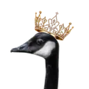 Geese Klub