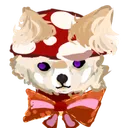 THE SHROOMI SERVER 🌟 [PROJECT REVIVAL]