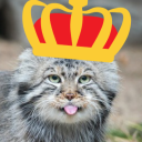 Manul Kingdom Discord server icon