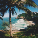 labubu funk rehab Discord server icon