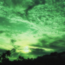 Verdant Skies: New Dawn Discord server icon