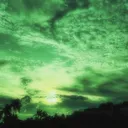Verdant Skies: New Dawn