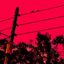 Kulture Discord server icon