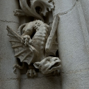 Urban Animal Redux Discord server icon