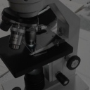 Gardenview's Scientific Research Lab Discord server icon