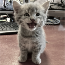 boop Discord server icon