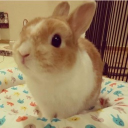 ᴡɪęᴄᴇᴊ Discord server icon