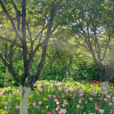 ☆-everspring kins Discord server icon