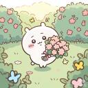 𝘾𝙝𝙞𝙞𝙠𝙖𝙬𝙖 & 𝘾𝙤.