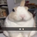 sincerest Discord server icon