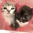 Looking 18+ Discord server icon