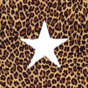 Novas