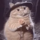 The Nine Lives Society