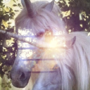 uni legends Discord server icon
