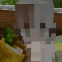 Amaiinecraft ☀