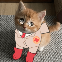 ✧Free Fortress✧ Discord server icon