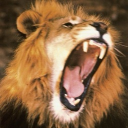 New Nepal Discord server icon