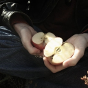 ⊱❀⊰  𝔖𝔲𝔪𝔬𝔰𝔥  ⊱❀⊰ Discord server icon