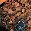 🍂𝙈𝙪𝙙𝙙𝙮 𝙗𝙪𝙙𝙙𝙞𝙚𝙨🍂 Discord server icon