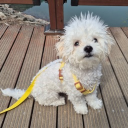 겜창 Discord server icon