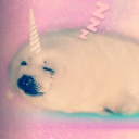 wohhwoa Discord server icon