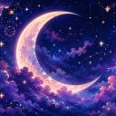 Moonlit Society ♡ ₊˚