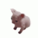 Looking for a gf! Discord server icon