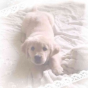 ժօղ'Ե օѵҽɾբlօա Discord server icon