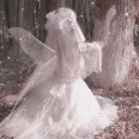 The Magical Forest