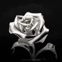 discord.gg/v3lvet