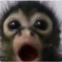 The whatever server Discord server icon