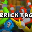 Brick Tag