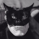 T Unit Horror Division +21