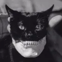 T Unit Horror Division +21