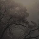 『••𝘔𝘶𝘭𝘵𝘪𝘍𝘢𝘯𝘥𝘰𝘮 𝘴𝘱𝘢𝘤𝘦••』 Discord server icon