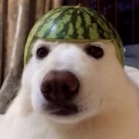 Looking: Read B4 Joining Discord server icon