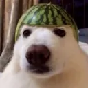 Looking: Read B4 Joining Discord server icon