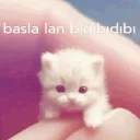 Başla lan bıdıbıdıbıdı