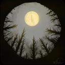 • BlackWire • Discord server icon