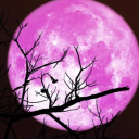 Planet Kal - Official Server logo